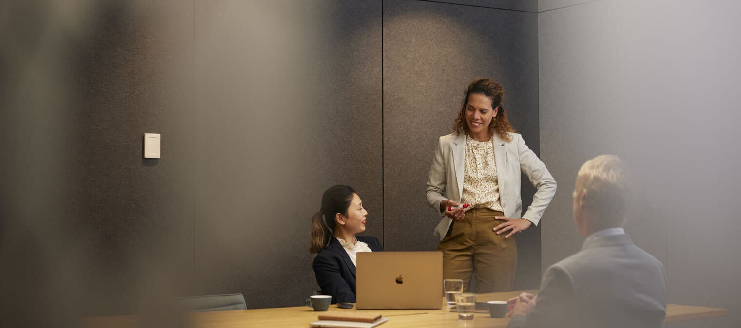 Woman in boardroom