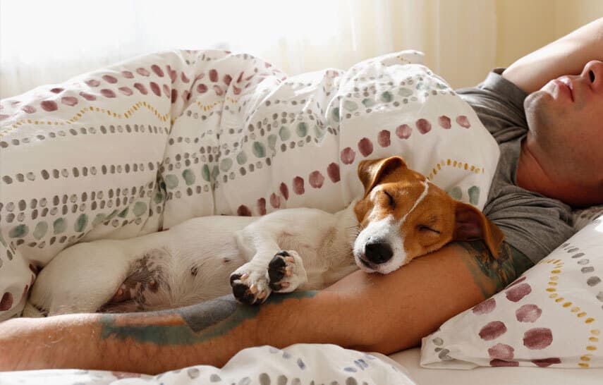 Man and dog sleeping