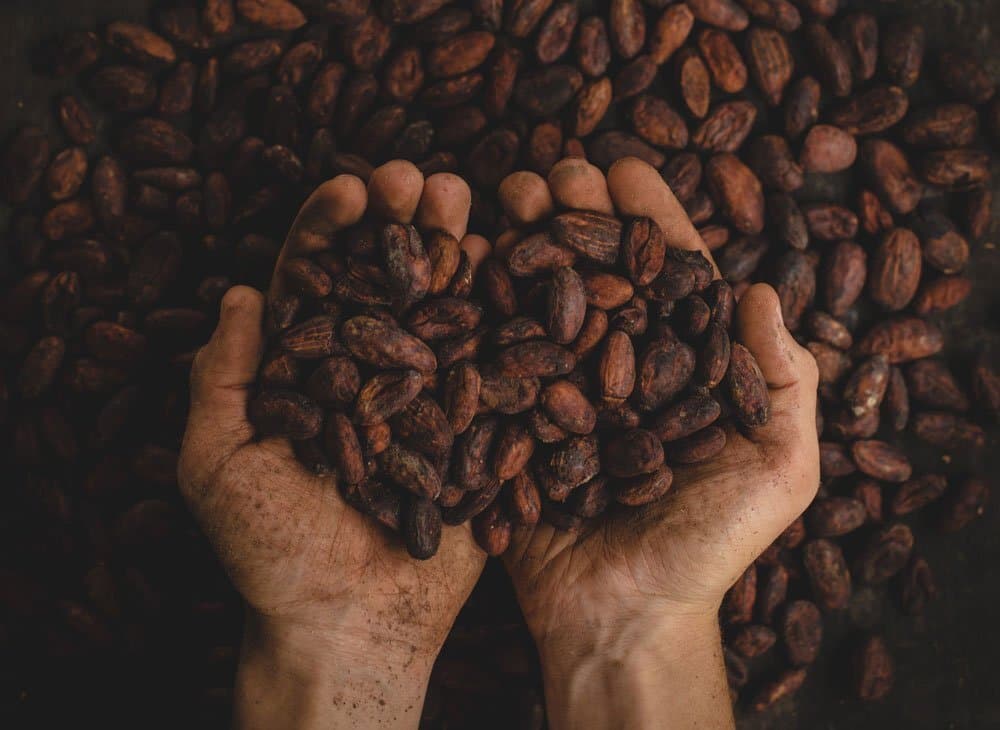 Cocoa beans