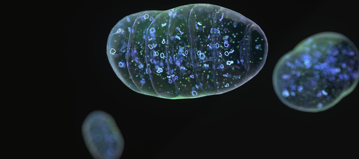 Cell floating