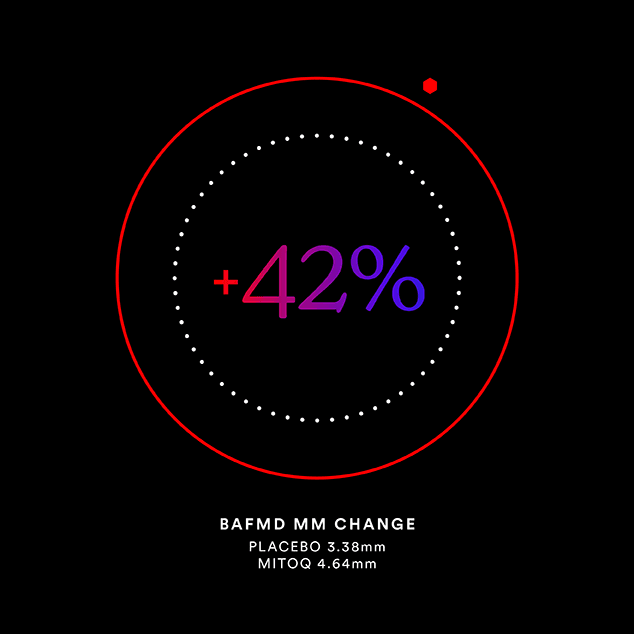 MitoQ improves vascular function and arterial dilation by 42% graph
