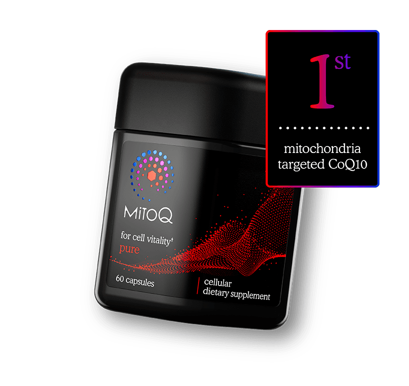 MitoQ first mitochondria targeted coq10