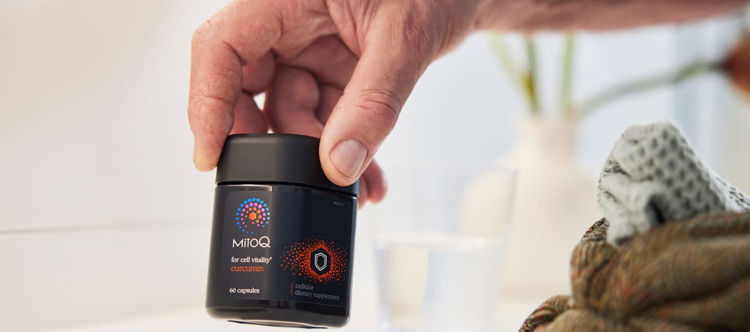 MitoQ +Curcumin