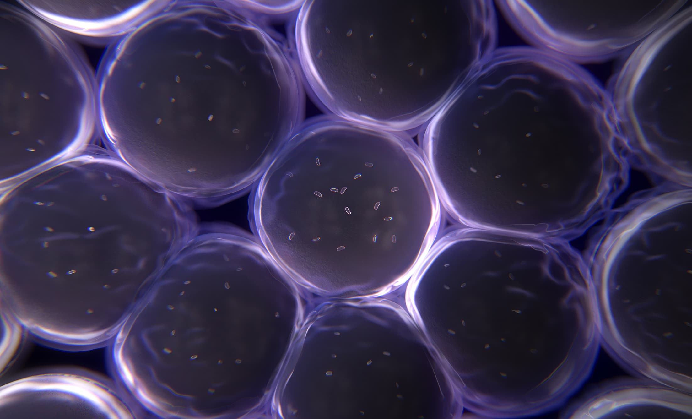 human cells with mitochondria illustration