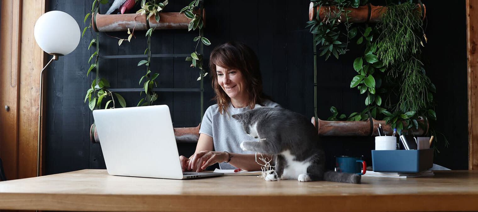 Working from home with a cat