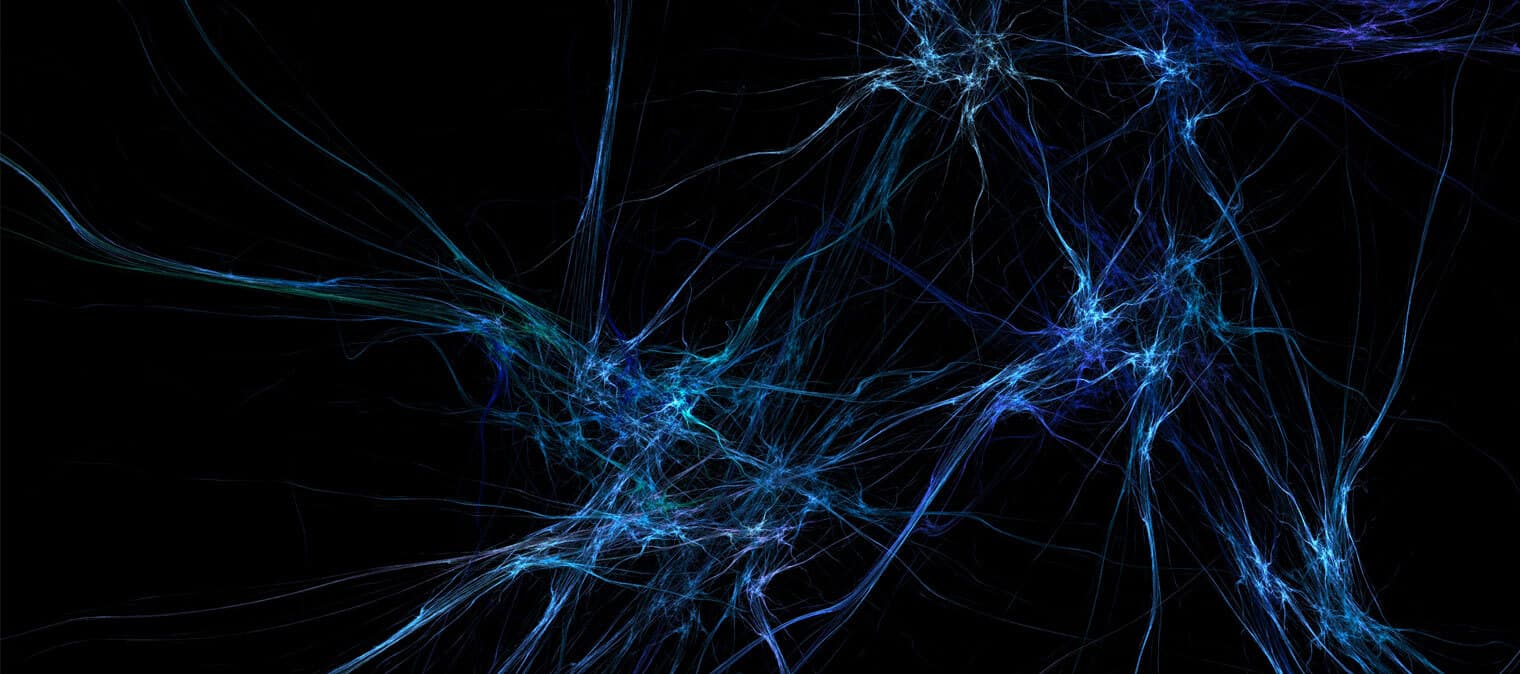 Neurons