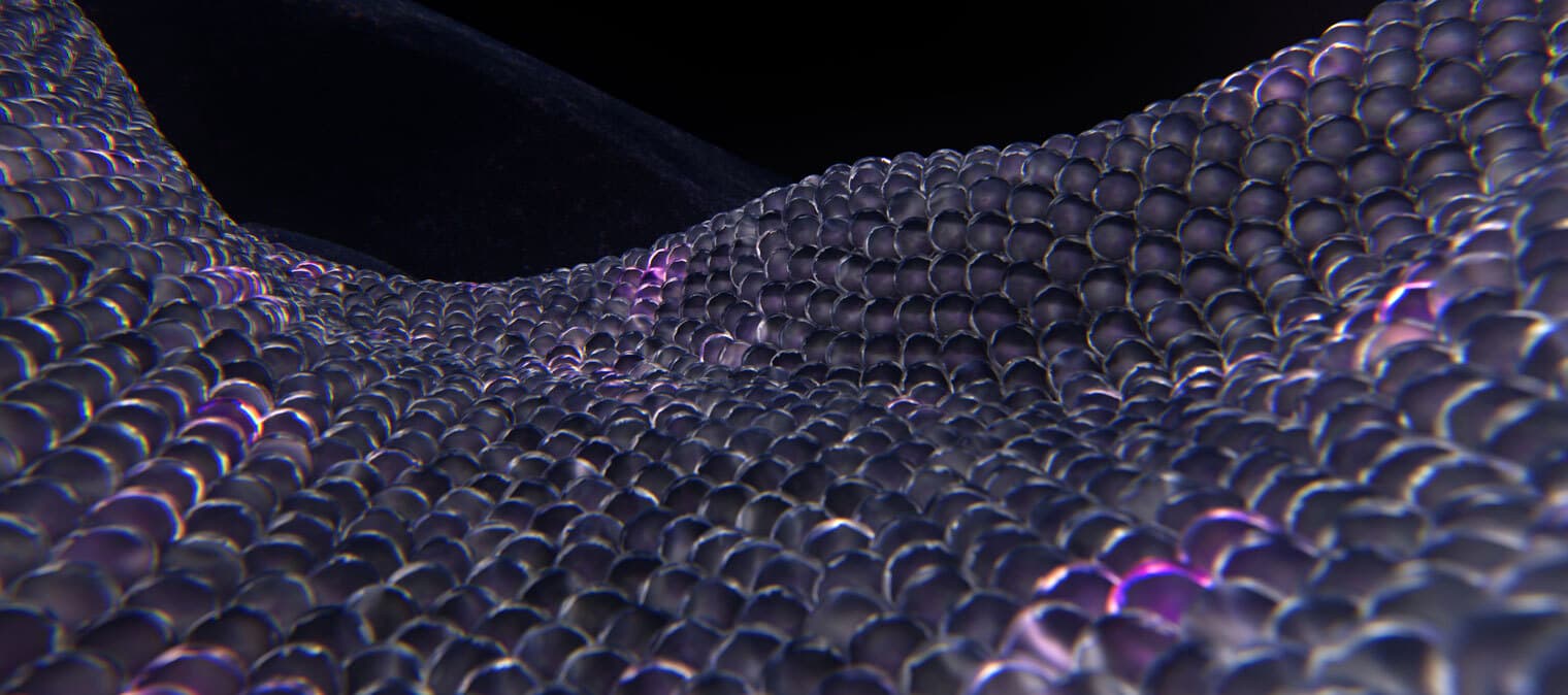 Human cells