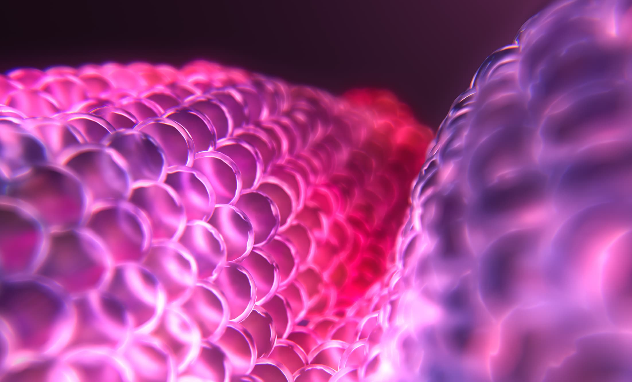 the positive ripple effect of cells being powered up by mitoq molecule