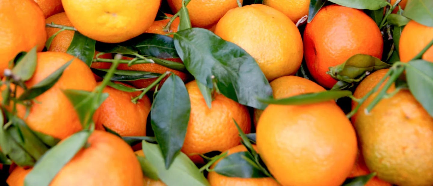 Antioxidants oranges