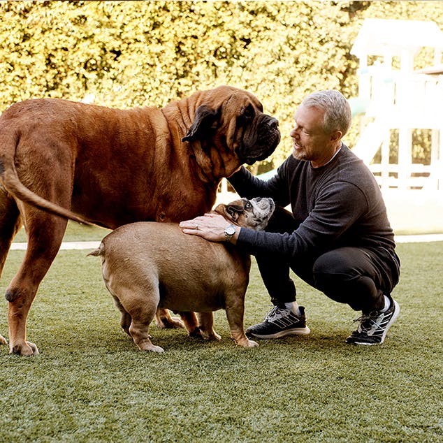 Gunnar peterson petting dogs