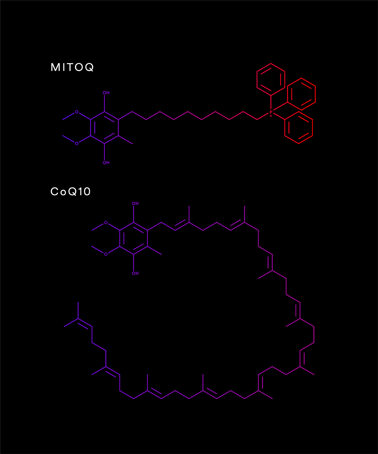 Difference in structure - MitoQ vs CoQ10