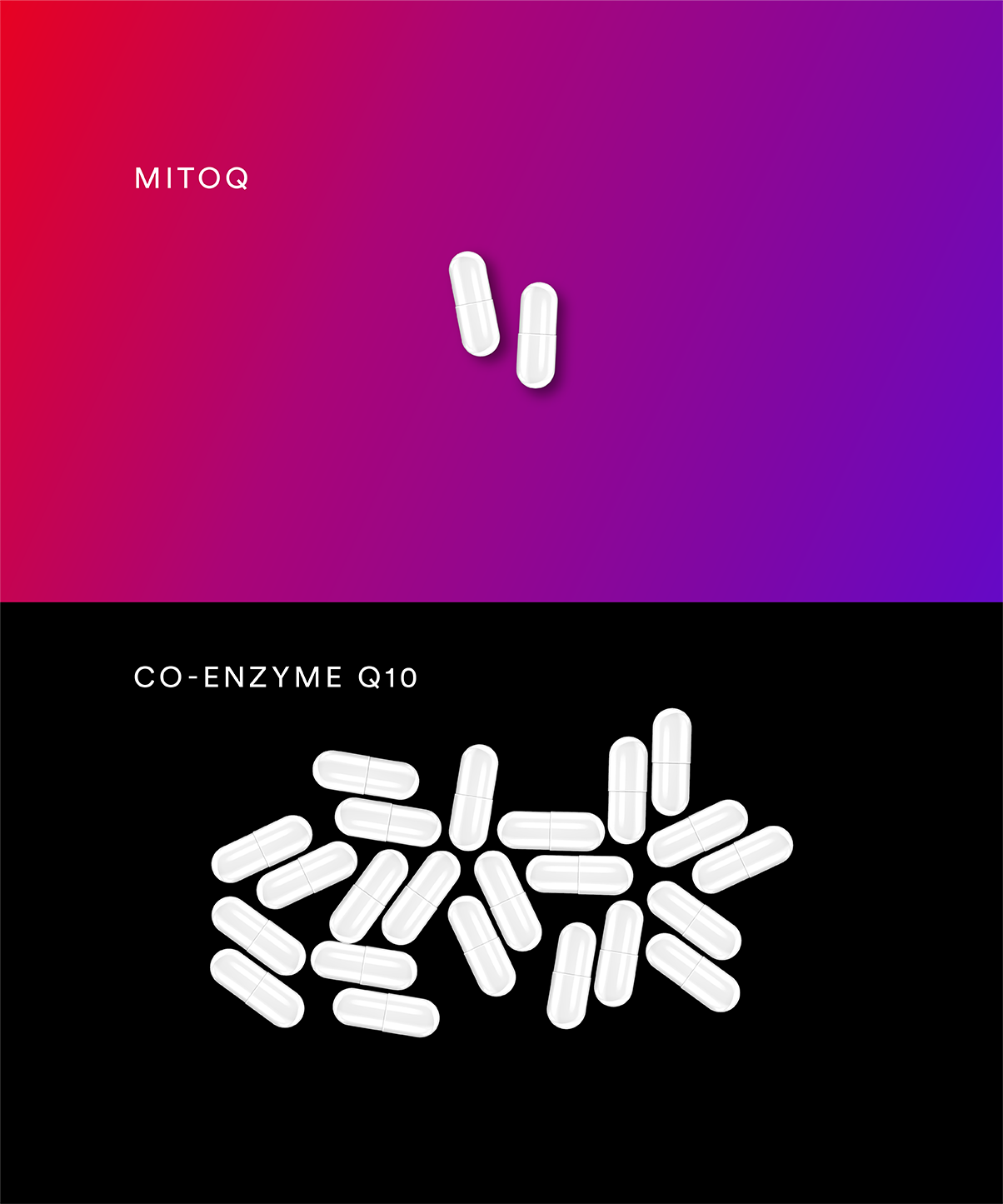 MitoQ smaller dose compared to co-enzyme Q10