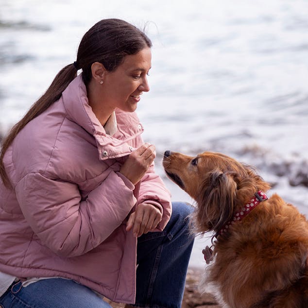 Lady giving a dog a treat on the beach