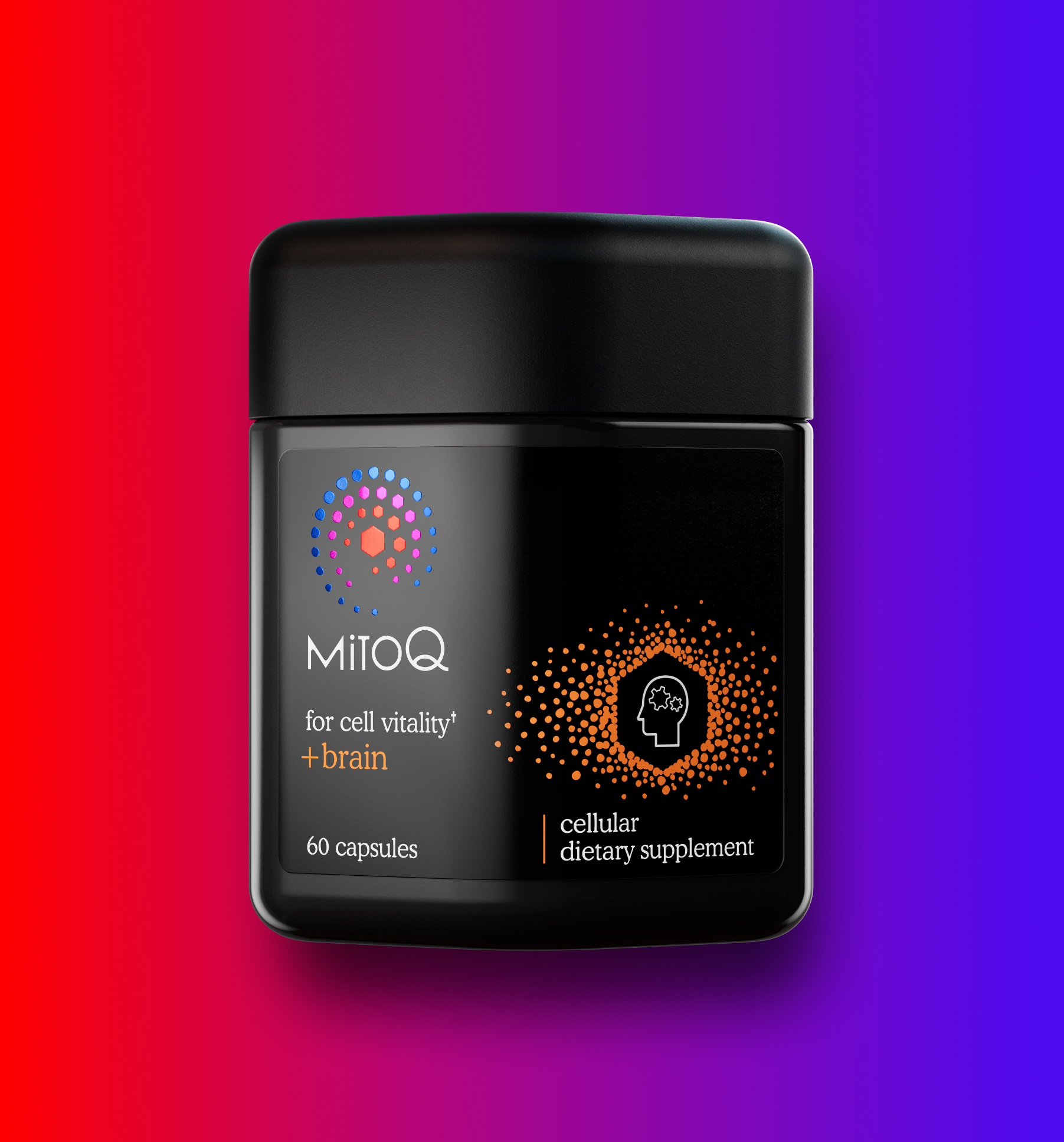 MitoQ +brain to support cognitive function: 60 capsules