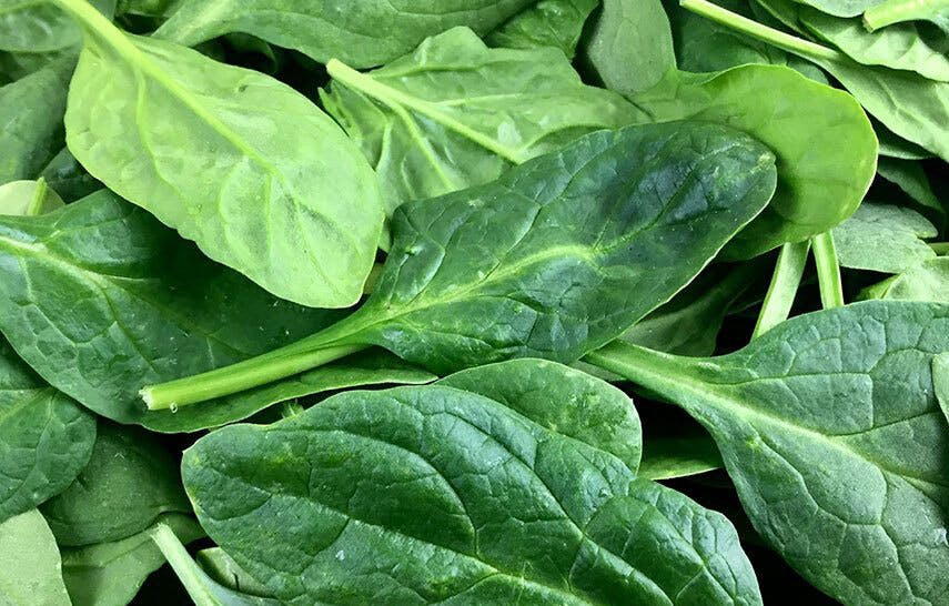 Antioxidants spinach leaves