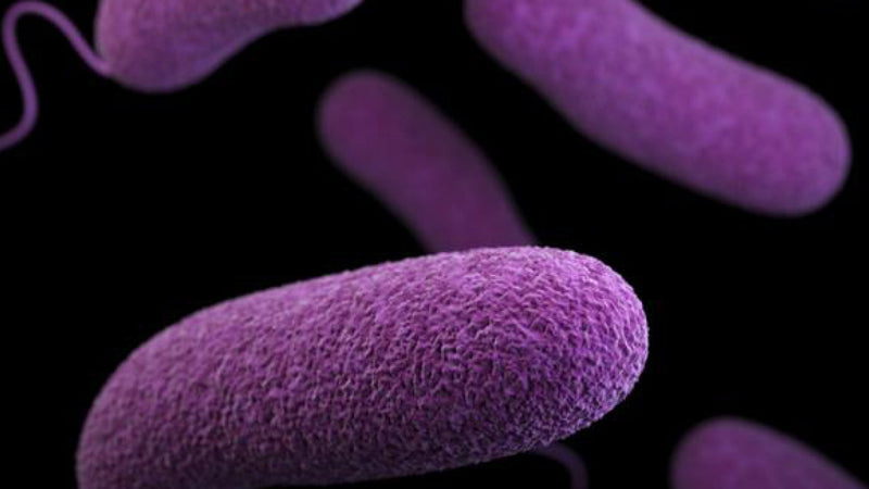 Your metabolism isn't broken: how to restore metabolic flexibility after menopause