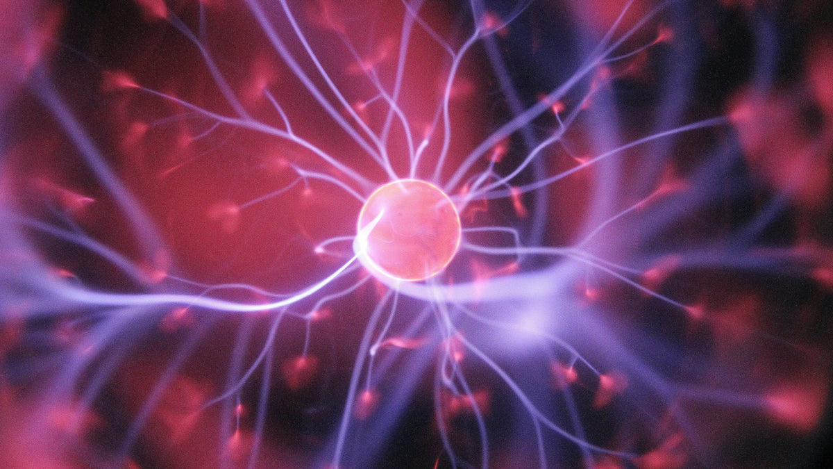 How estrogen protects the brain