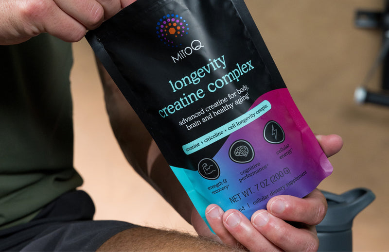Beyond Performance: Why We Tested a Longevity Creatine Formula in Zebrafish