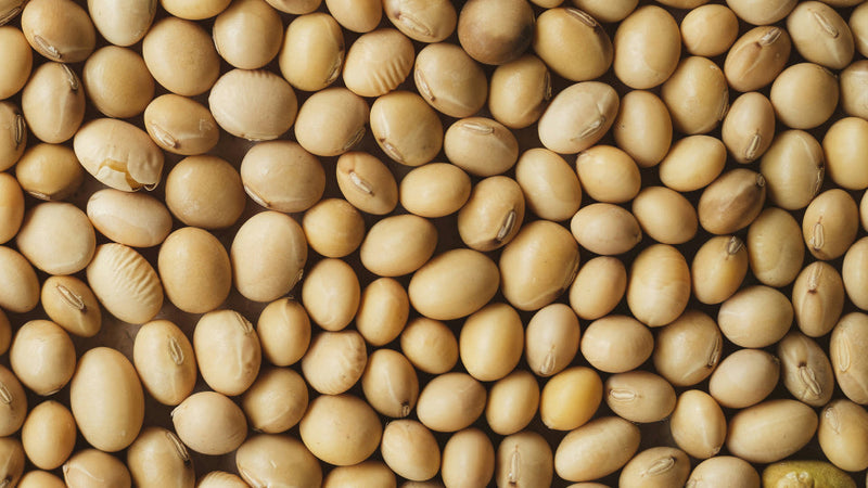 HRT vs phytoestrogens