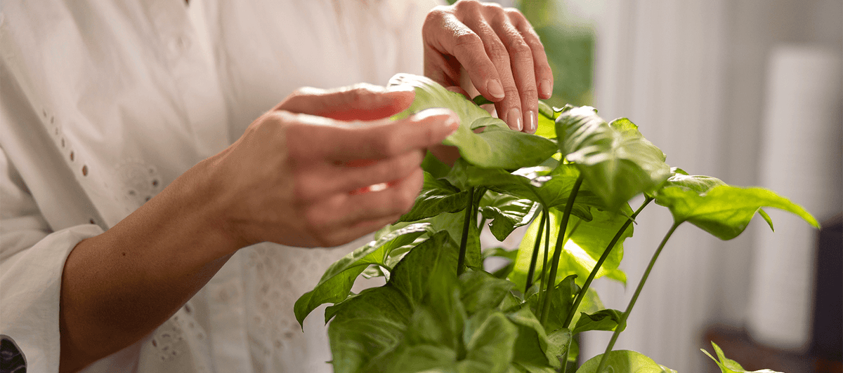 Can self-compassion reduce inflammation?