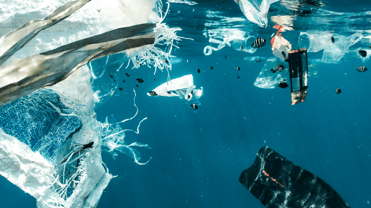 How MitoQ Mitoquinol may help protect us from microplastics