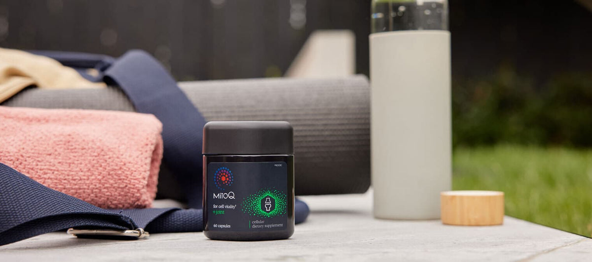 Joint health and how MitoQ helps