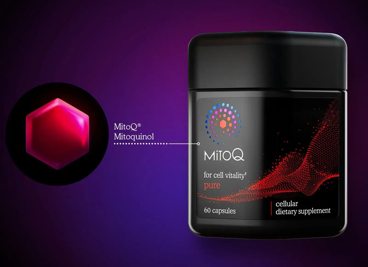 MitoQ ingredients glossary