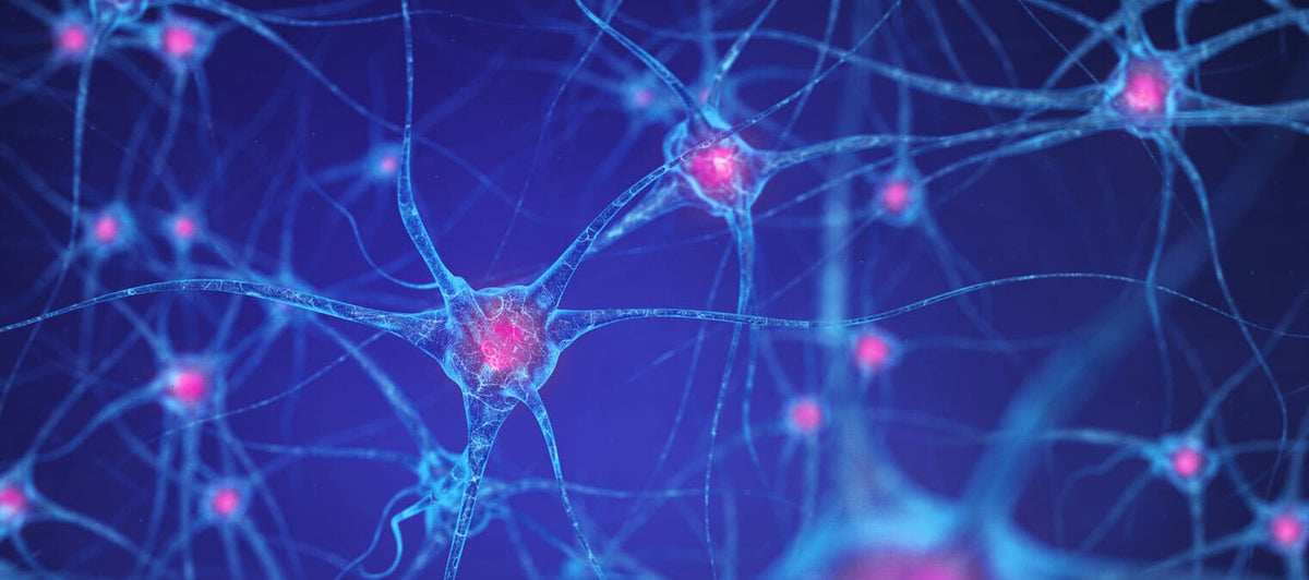 Tips for building ‘happy’ neural pathways