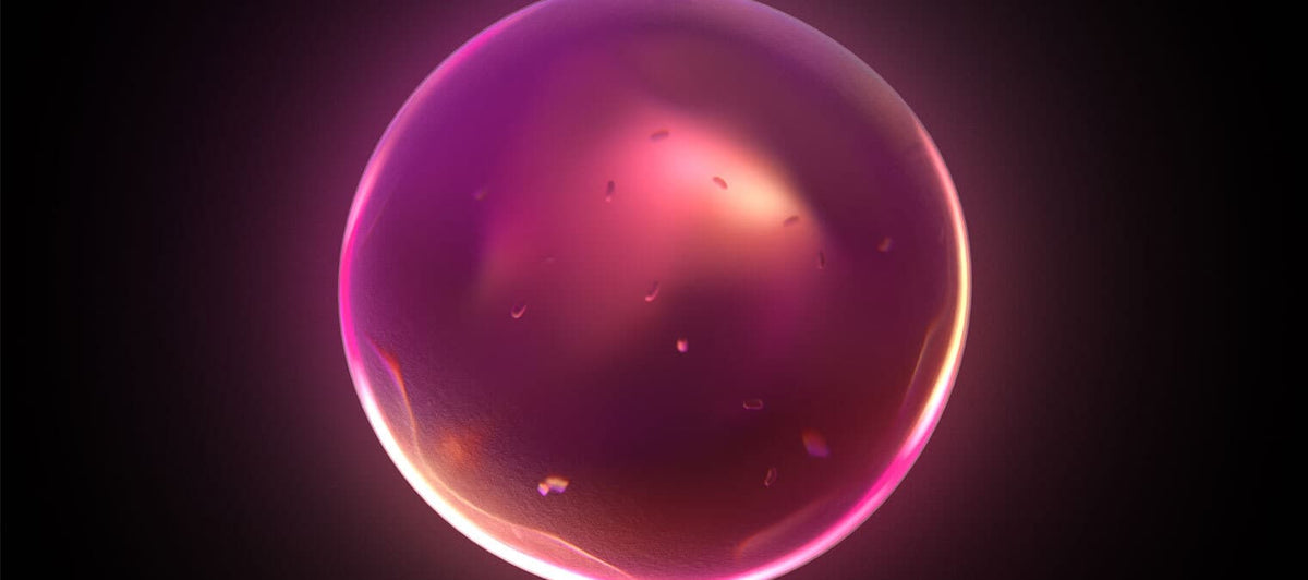 What was the first cell on earth?