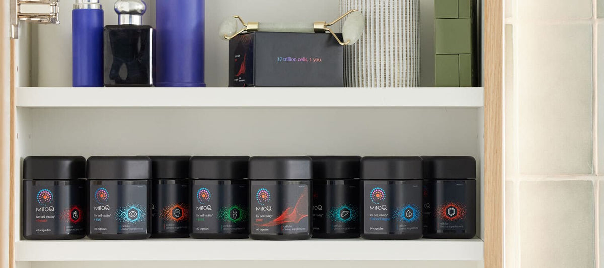 Your questions answered: everything you want to know about MitoQ