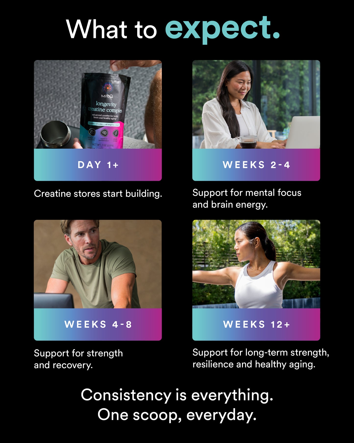 Creatine timeline