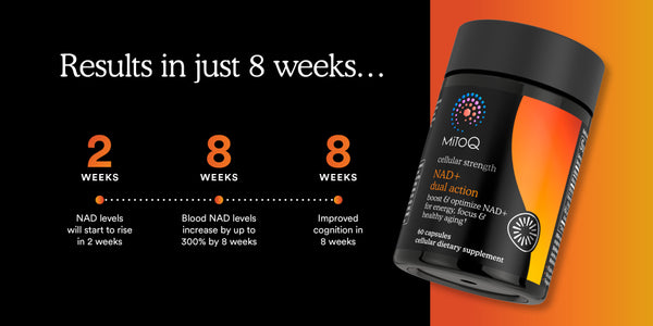 MitoQ NAD+ dual action supplement bottle with time-based benefits from 2 weeks to 8 weeks on a black and orange gradient background