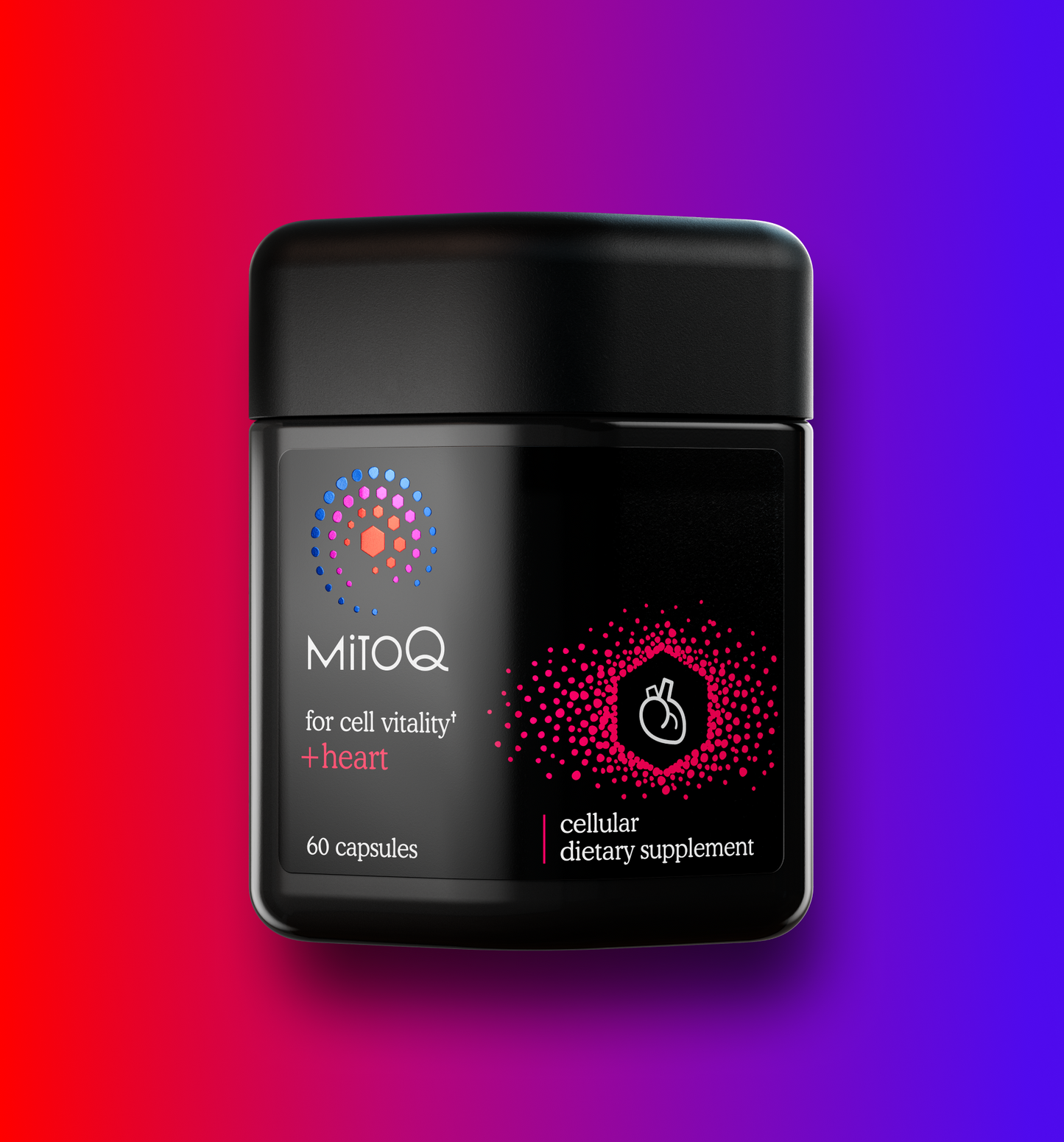 MitoQ +heart